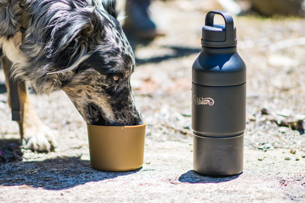 Night Hike - 32 oz All-Day Adventure Flask