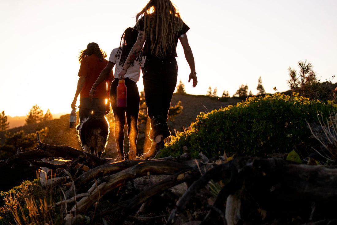 Friends and a dog hike with Adventure Flasks in the warm evening light.