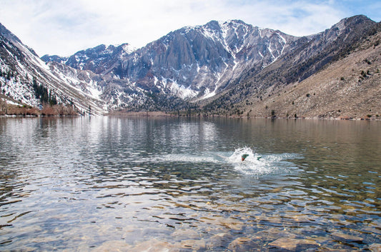 Eastern Sierra lake dip