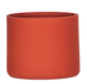 Pup Cup Protector (Bundle)