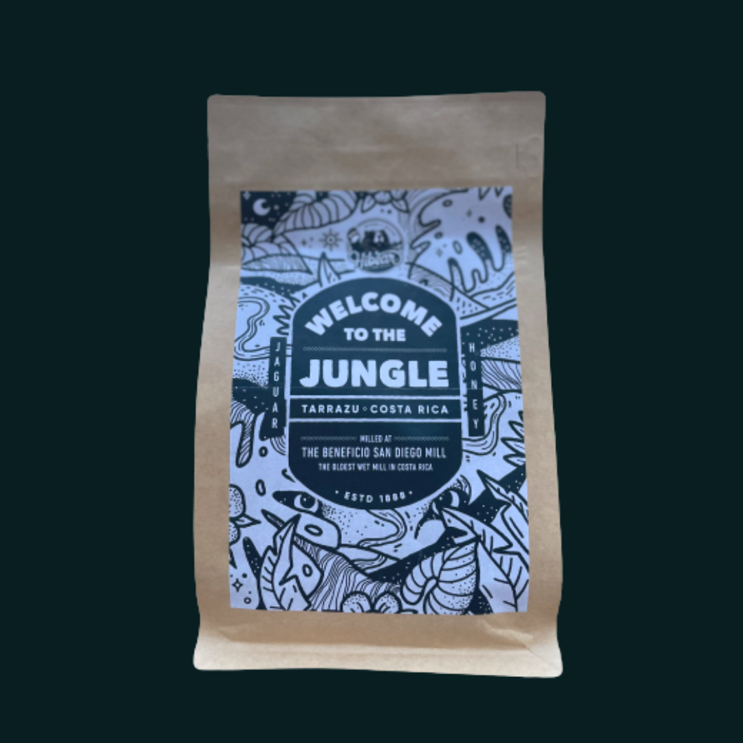 Welcome to the Jungle Coffee Blend in collaboration with Forged Coffee Roasters