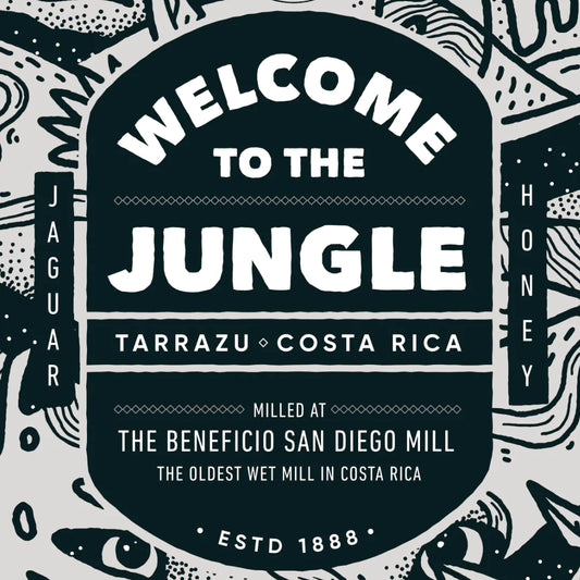 Artist Series + Welcome to the Jungle Coffee